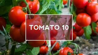 Top 10 Facts about Tomato