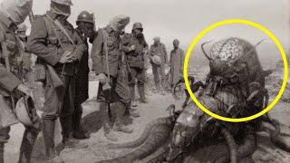 Top 10 Unusual Events from WW1 That Make NO SENSE