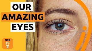 What do our eyes say about us? | BBC Ideas