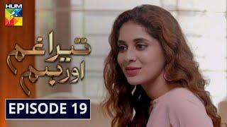 Tera Ghum Aur Hum Episode 19 HUM TV Drama 2 September 2020