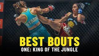 Best Bouts | ONE: KING OF THE JUNGLE