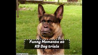 Police Dog funny moments