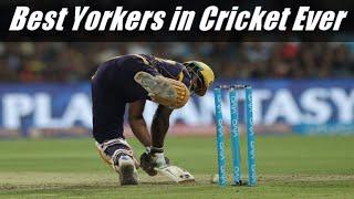 Top 10 Unplayable Yorkers in Cricket History