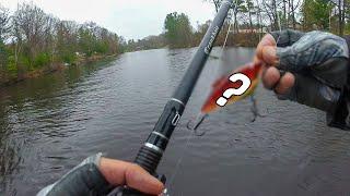 A SECRET Way to Fish a Lipless Crankbait (Cold Water Grass)