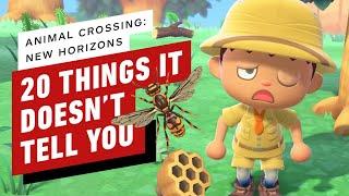 20 Things Animal Crossing: New Horizons Doesn't Tell You