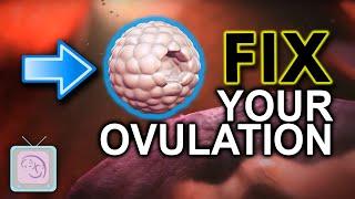 What causes ovulation problems?