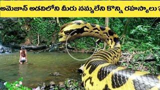 Top 5 Unexplained Mysteries Of Amazon Forest In Telugu|Mind Teasers