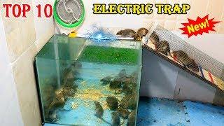 Top 10 Electric Mouse Trap Water 