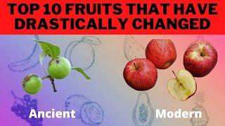 Top 10 fruits and vegetable that changed over time