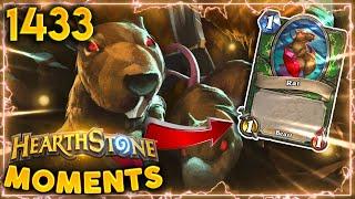 We Got A RAT INFESTATION Problem! | Hearthstone Daily Moments Ep.1433