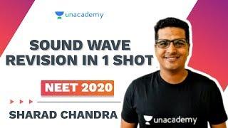 Sound Wave Revision in 1 Shot | NEET 2020 | Sharad Chandra | Unacademy Sapiens