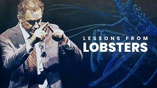 Lessons from Lobsters | Jordan Peterson | Best Life Advice