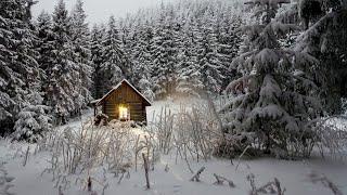 3 HOURS of Relaxing Snowfall: Beautiful Falling Heavy Snow - The Best Relax Music 1080p HD #2