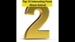 Top 10 Facts About Animals | #shorts #facts | Fact By Zainab