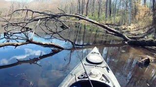 Ohio Swamp fishing!! (Top water) #swampfishing #topwater