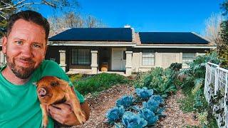 SOLAR POWERING our City Farm -- OFF GRID?! 