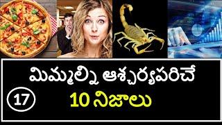 Top 10 Interesting Facts in Telugu | Unknown and Amazing Facts | Part 17 | Minute Stuff