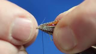 Frazzle Dabbler HD Video 2020