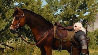 Top 33 Horse Scenes in Gaming