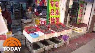 WHO Scientist: Wuhan Wet Market Likely Played Role In Coronavirus Development | TODAY