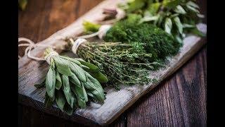 The Top 10 Herbs You MUST HAVE In Your Home During These Times