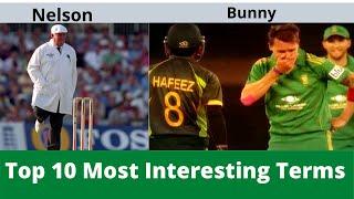 Top 10 Most Interesting Terms Used In Cricket EXPLAINED