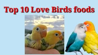 Top 10 food for lovebirds