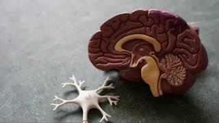 TOP 10 AMAZING FACTS IN TELUGU - FACTS EPISODE PART 2.