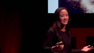 Dyslexic? They’re Not Broken | Dr Rosa Kwok | TEDxCoventry