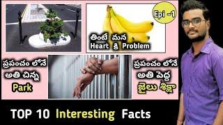 top 10 facts | unknown facts telugu | Evening 5s with Surya