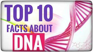 Top 10 facts about DNA I English | Sanjay Verma