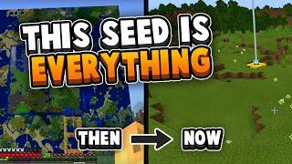 This Seed Is everything...