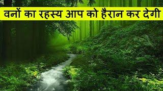 वनों के बारे में 10 रोचक तथ्य | Amazing facts about Forest