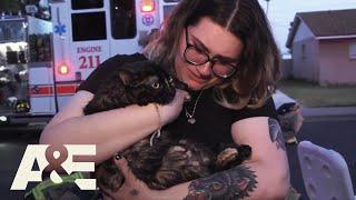 Live Rescue: Top 6 Animal Rescues | A&E