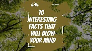 TOP 10 INTERESTING FACTS THAT WILL BLOW YOUR MIND