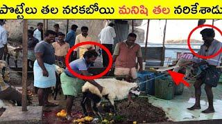 ఏకంగా మనిషి తలనే నరికేశాడు||Top 10 Interesting Unknown Facts in Telugu||Telugu Facts