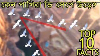 TOP 10 FACTS । এই 10 টি তথ্য জানলে আপনার হাত মাথায় উঠবে । অবাক করা 10 টি তথ্য ।RIYADS TUBE l