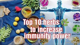 Top 10 herbals to increase immunity power / Tamil / Attain Arivarasan