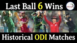 Top 10 Last Ball Sixes To Win Matches in History of ODI Cricket