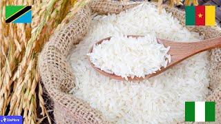 Top 10 Rice Producing Countries in Africa