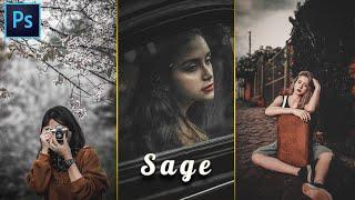 Sage Color Grading Tutorial and Presets | Photo Effects