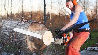 Pretty Girl Top 10 Turbo ChainSaw Big Tree Cutting Down Sawing Felling Wedge Fastest Transportation