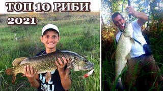 Топ 10 Риби за 2021 + Улови и Мнения за Realwobbler/ Top 10 Fish of 2021 + Catches & Reviews