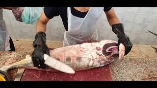 10 KG Fish Cutting $300 By Knife। Fish Cutting Professional Master।Cutting Fish Super Fast Ways