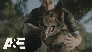 Police Dog Handlers Share Emotional K9 Stories Part 2 | America's Top Dog (Season 1) | A&E