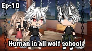 •human in all wolf school•ep10•Gacha life series