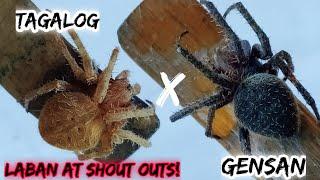 Tagalog VS Gensan Lines! 3 Rounds! + Shout outs! | Spider Fight