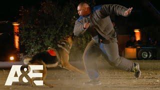 America's Top Dog: Live PD K9 Kato Takes on Team Bear (Season 1) | A&E