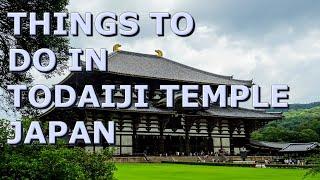 Things to do in Todaiji  Temple, Japan