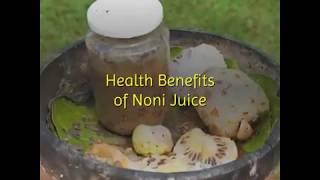 Top 10 Health Benefits of Noni Juice | Effective in Diabetes, Cancer, Lowering Cholesterol Levels